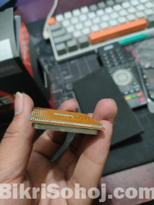 Ryzen 5 4600g ( 8 Months Warranty Available)
